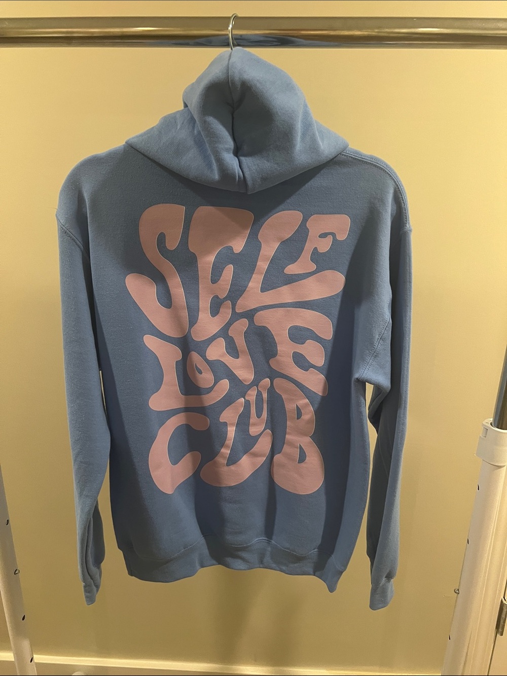 Blue Hoodie with Pink Graphic Back